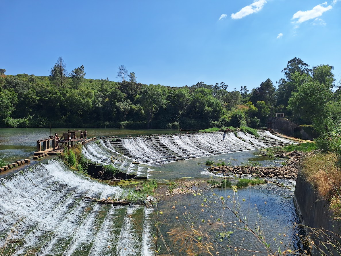 20250704_161007 20250704 161007